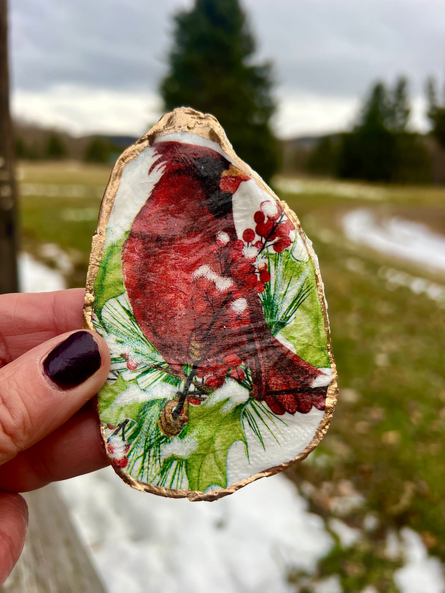 Christmas Cardinal Cape Cod Oyster shell ring trinket dish