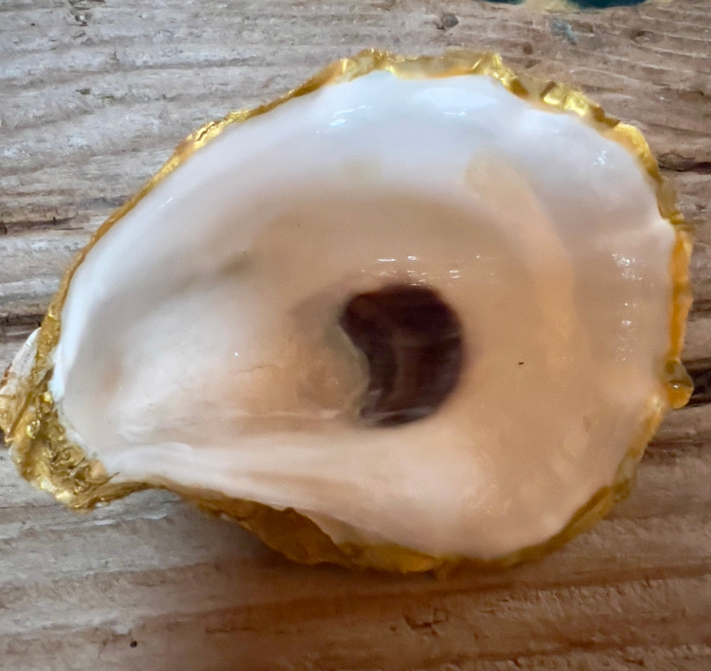 oyster shell trinket dish