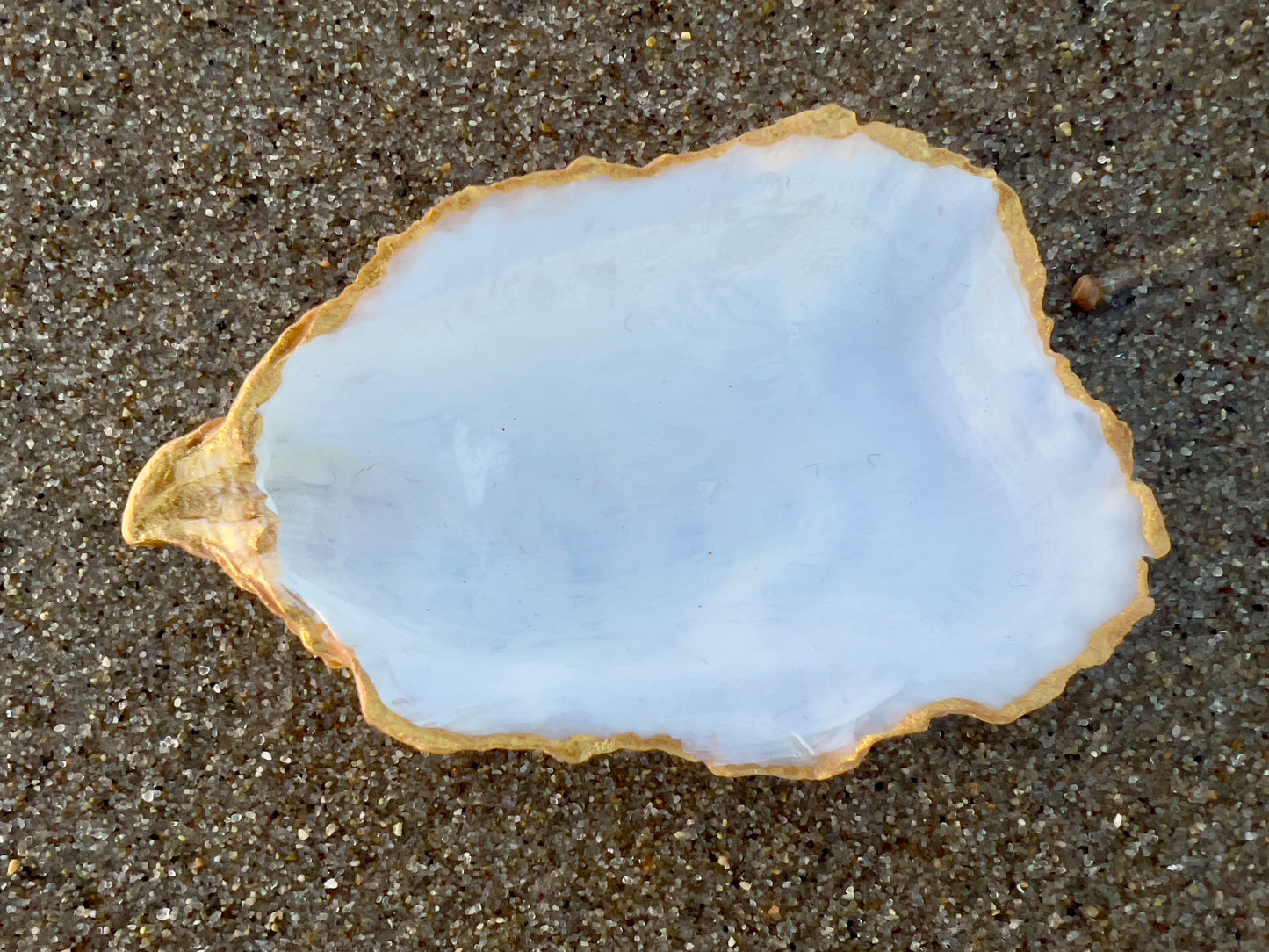 Oyster shell trinket dish